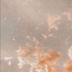 Meet your Posher, Asha